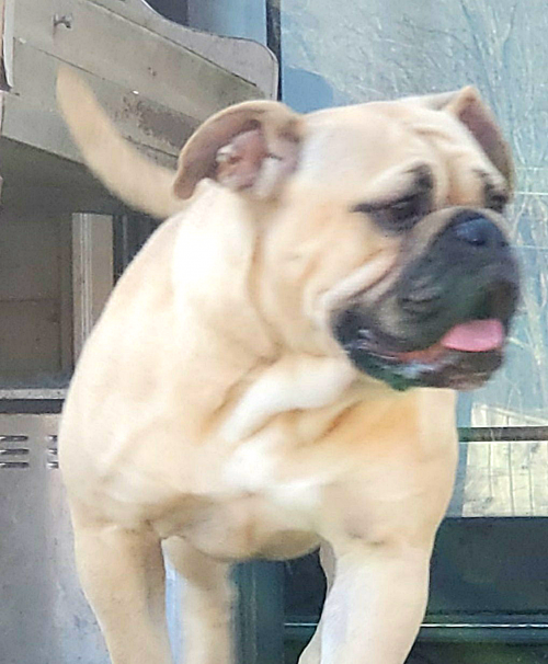 16:20:54 GMT-0500 (EST).png