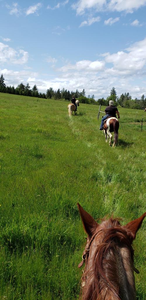 05:40:50 GMT-0800 (PST)