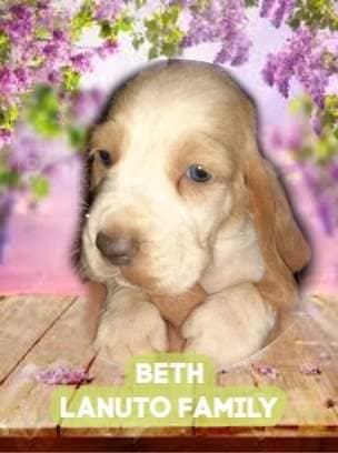 93186025-1601734099981165-8224065487902867456-n