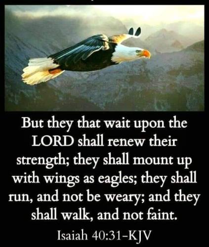 09:31:09 GMT-0600 (CST)