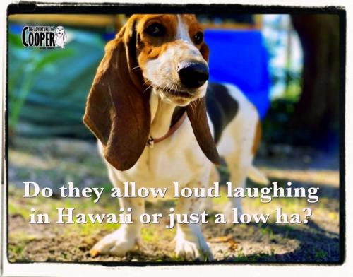 11:59:14 GMT-0500 (EST)