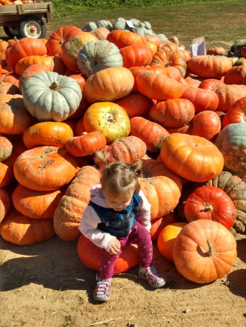 17:46:16 GMT-0500 (EST)