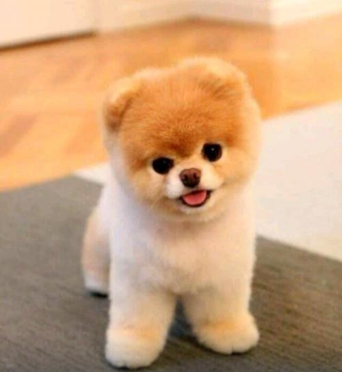 21:48:05 GMT-0600 (CST)