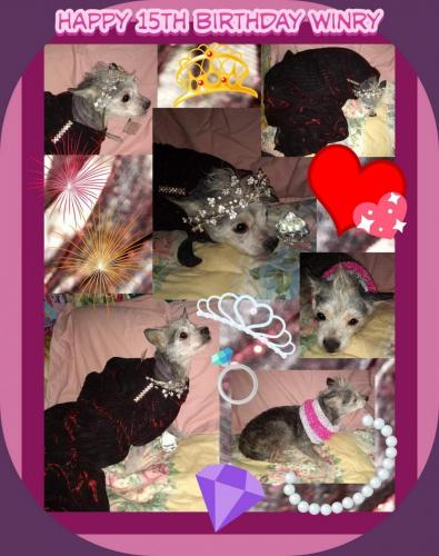 18:11:12 GMT-0600 (CST)