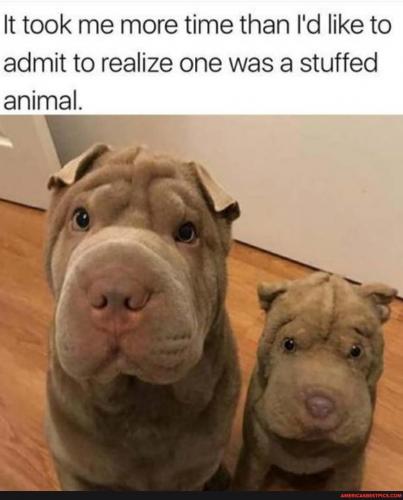 06:06:22 GMT-0600 (CST).image