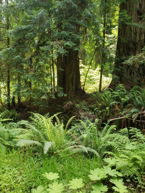 11:20:48 GMT-0800 (PST)