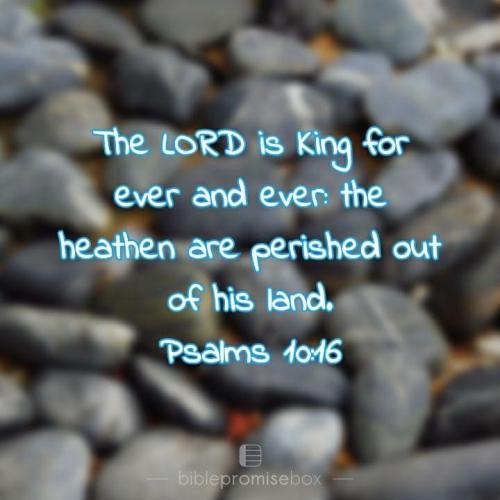 61130A92-02F1-4285-8D44-9BE7B32A29A4