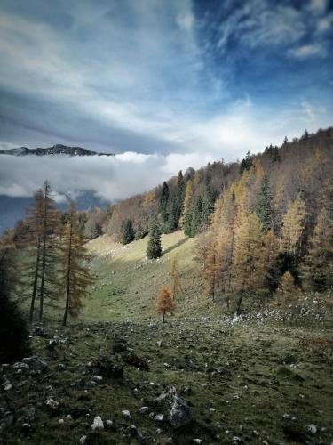 09:22:30 GMT+0100 (CET)