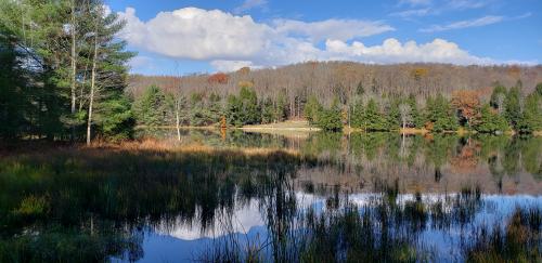 06:06:55 GMT-0500 (EST)