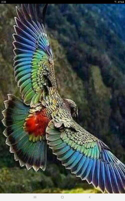 Screenshot_20201017-023344_Chrome