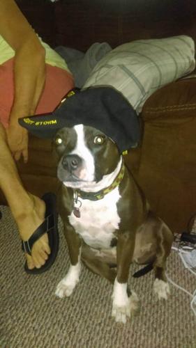 06:05:43 GMT-0500 (EST)