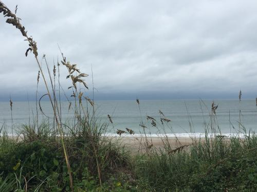 13:00:19 GMT-0500 (EST).image