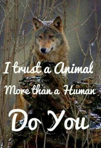 Screenshot_2020-08-27-20-34-51-1