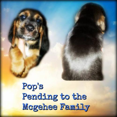 55922117-1273803066107605-3006055607699505152-n