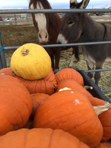 07:49:16 GMT-0800 (PST).image