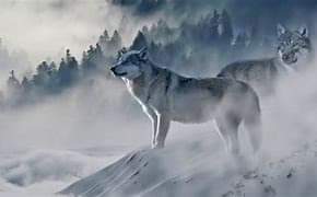 21:01:33 GMT-0600 (CST)