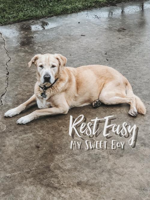 14:29:13 GMT-0600 (CST).image