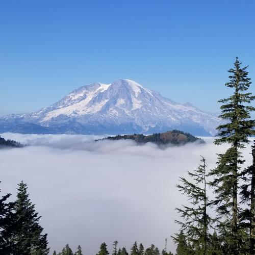 11:50:16 GMT-0800 (PST)