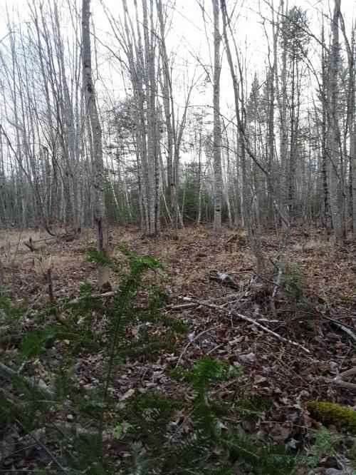 21:15:33 GMT-0500 (EST)