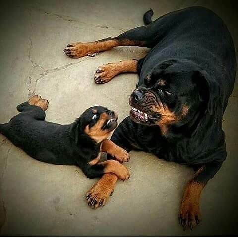 22:29:12 GMT-0800 (PST)