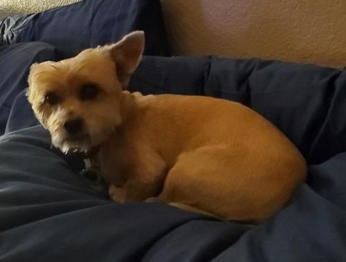 12:00:31 GMT-0800 (PST)