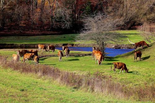 17:47:59 GMT-0500 (EST).image