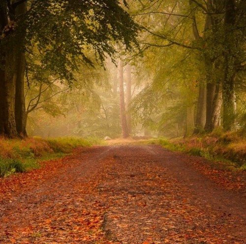 11:09:02 GMT-0500 (EST).png