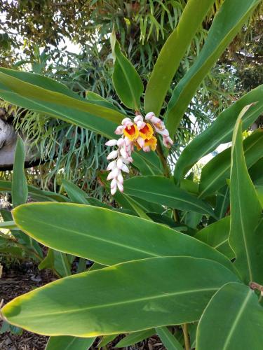 15:33:45 GMT-0800 (PST)