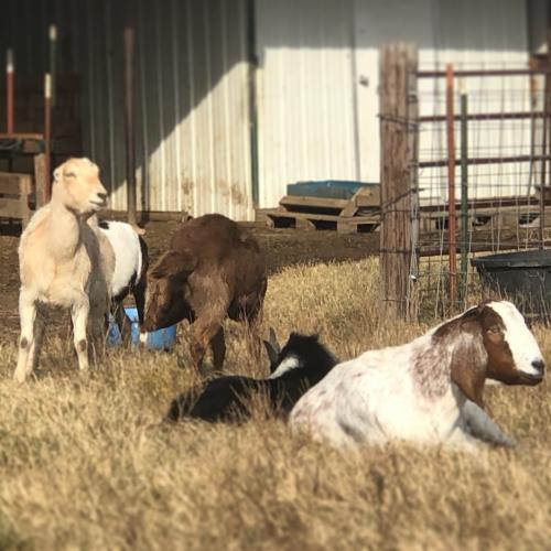 CA13A328-905B-4023-8B3D-3534A15C4734