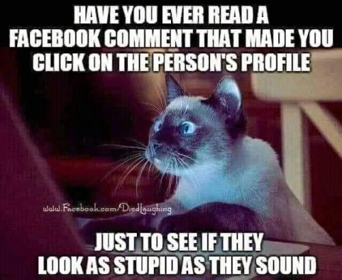 20:15:52 GMT-0500 (EST)