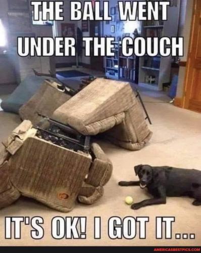 13:37:36 GMT-0600 (CST).image