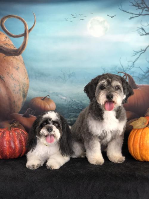 06:29:26 GMT-0800 (PST).image