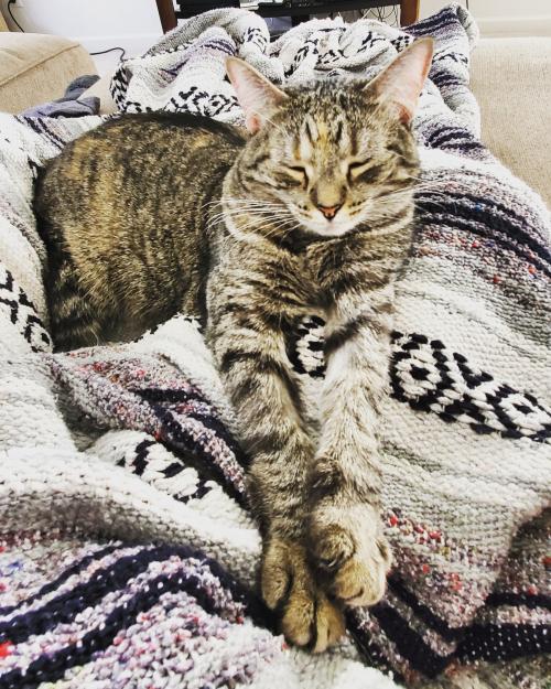 22:07:01 GMT-0500 (EST)