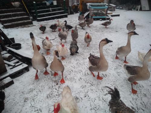 07:00:11 GMT-0600 (CST)