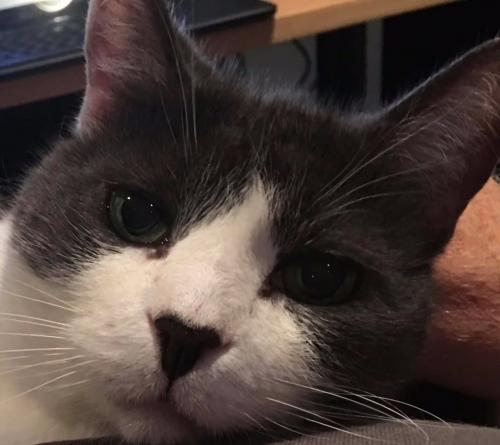 10:37:31 GMT-0500 (EST).image