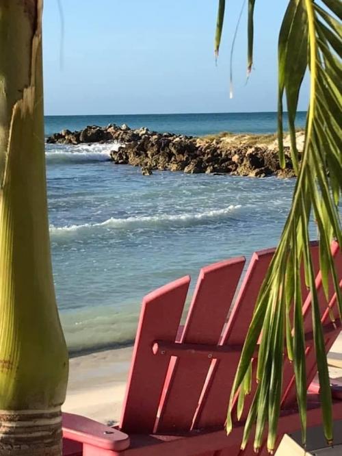 08:11:09 GMT-0500 (EST).image