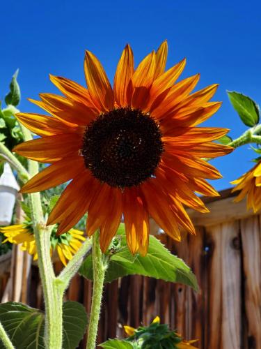 15:47:39 GMT-0800 (PST)