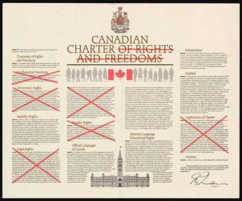 charter of rights