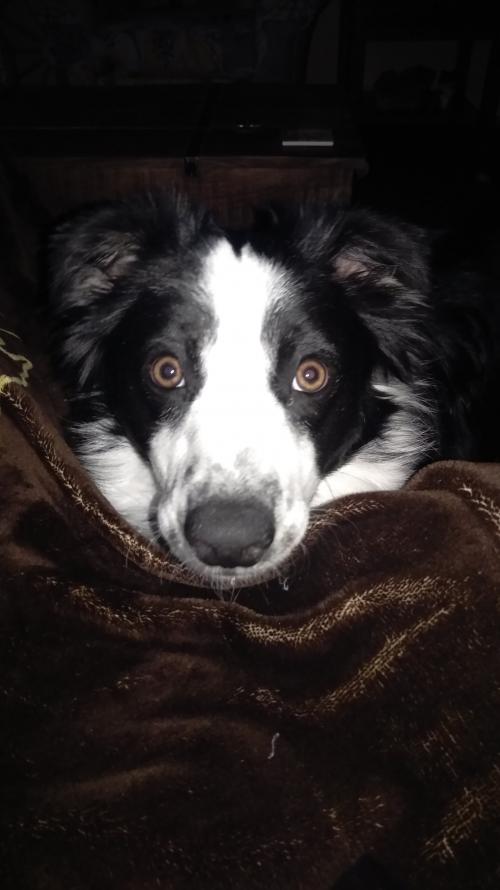 17:23:20 GMT-0700 (MST)