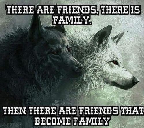 18:23:28 GMT-0600 (CST).image