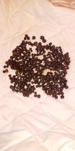 03:49:15 GMT-0600 (CST)