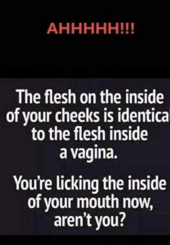 Screenshot_2019-09-20-05-56-22-1