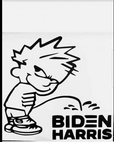 14:55:35 GMT-0600 (CST)