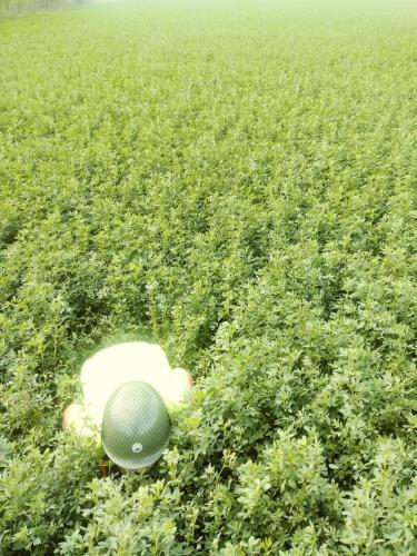 14:18:56 GMT-0600 (CST)