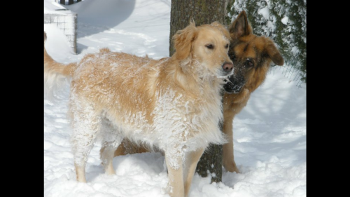 22:44:52 GMT-0600 (CST).image