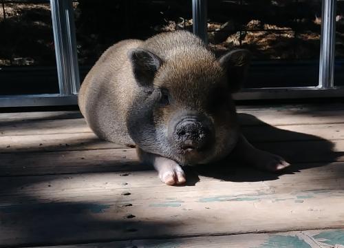 00:09:27 GMT-0800 (PST)