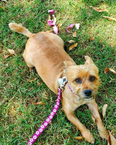 16:36:47 GMT-0800 (PST)