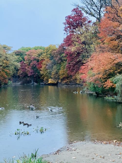 13:29:39 GMT-0500 (EST).image