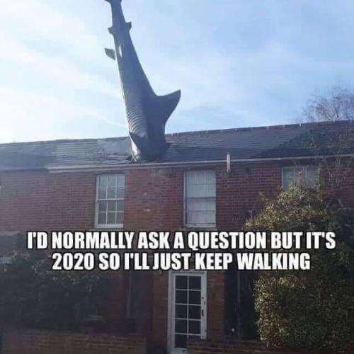 43A5A5B2-E0C9-466C-BD70-4FA1DAEC301F