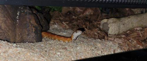 12:03:57 GMT-0500 (EST)